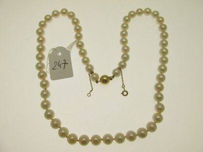 1 collier de perles de culture chocker fermoir...