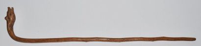 null Folk art, wooden cane, curved handle showing an open-mouthed hyena, end of XIXth...