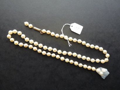 Collier de perles de culture en choker (diamètre...