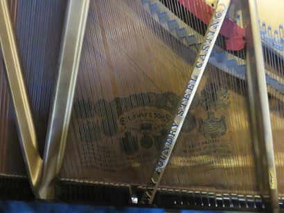 PIANO Piano Steinway & Sons. 100x152x220 cm