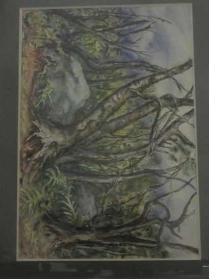 null "Rochers dans la forêt", aquarelle, sbd. 38x55 cm