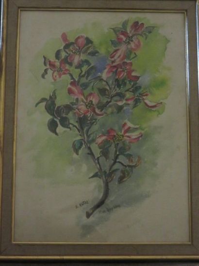 Betty KATHE Cinq aquarelles ou gouaches: "Fleurs", signées. 41,5x30 et 30x21,5 c...