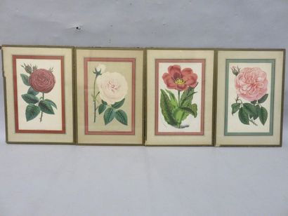 null "Fleurs", quatre estampes. 32,5x23 cm
