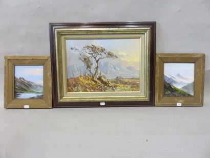 null "Paysages de montagnes", trois huiles sur panneau signées. 22,5x30,5 cm pour...