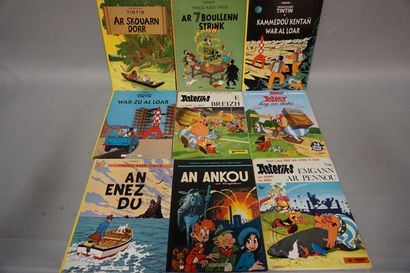 BD Neuf BD en Breton (Tintin, Spirou et Astérix).