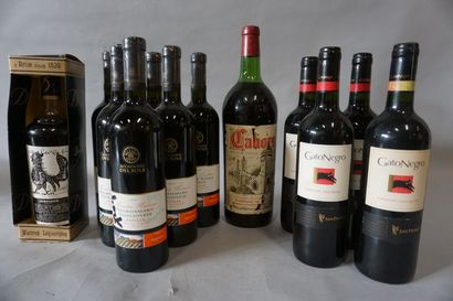 null Manette of eleven bottles of wine (Cahors, GatoNegro and Negroamaro) and an...