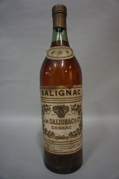 null Bouteille factice en verre cognac Salignac. 50 cm