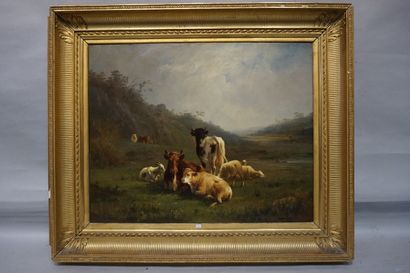 A.CORTES "Vaches, moutons et chèvre", huile sur toile, sbg. 64x80 cm