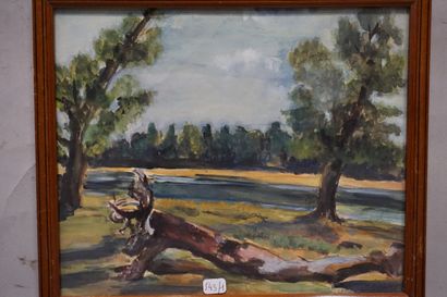 null Deux aquarelles : "Paysage côtier" (24x19 cm) et "Arbre couché sur une berge"...