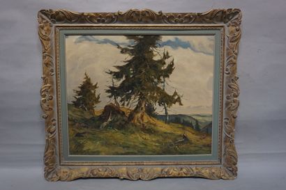 W. Wichertsteiner "Paysage de montagne Alpenflick", huile sur carton, sbg, daté 1943....