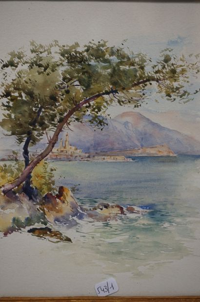 null Deux aquarelles : "Paysage côtier" (24x19 cm) et "Arbre couché sur une berge"...