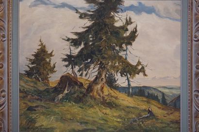 W. Wichertsteiner "Paysage de montagne Alpenflick", huile sur carton, sbg, daté 1943....