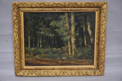 Robert BATAILLE (1898-1958) "Sous bois", oil on canvas, sbg (restorations). 37,5x48...