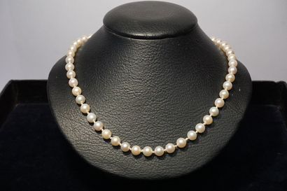 COLLIER Collier de perles à fermoir en or gris 585 millièmes serti d'une perle (...