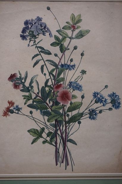 null "Fleurs", deux estampes (tachées). 42x32 cm et 38x28 cm
