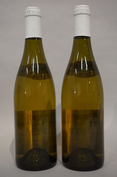  2 bouteilles PULIGNY-MONTRACHET "Les Enseignères", JF Coche-Dury 2004 