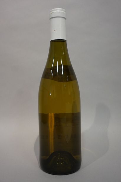null 1 bottle MEURSAULT JF Coche-Dury 2004