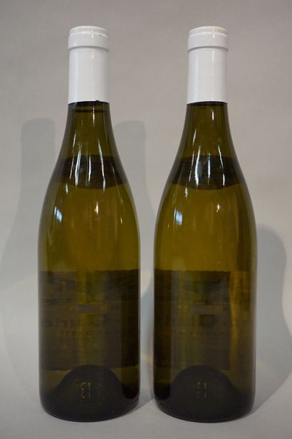 null 
2 bottles CORTON CHARLEMAGNE, Domaine Coche-Dury 2011
