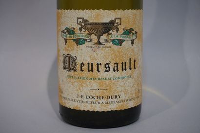null 1 bottle MEURSAULT JF Coche-Dury 2005