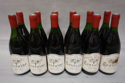 Douze bouteilles de Gamay Touraine domaine...