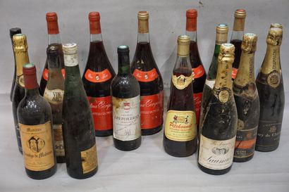 Lot de bouteilles diverses : Cantina Cerquetta...