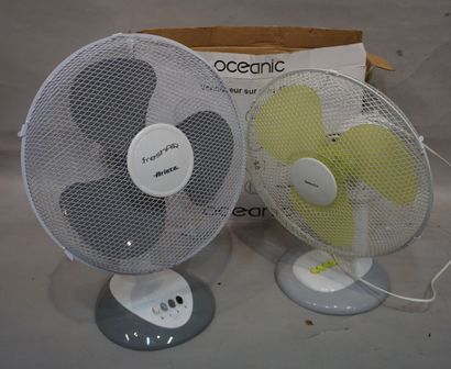 null Three fans.