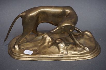 null Chien de chasse en bronze doré. 10x21x10 cm