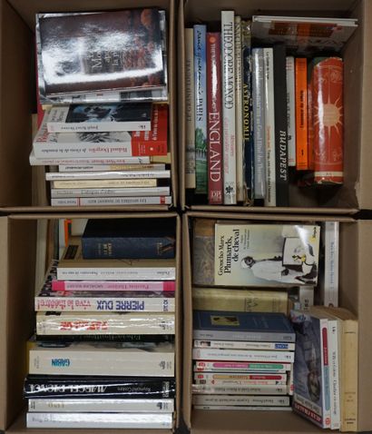 LIVRES Quatre manettes de livres modernes et de poche, biographies, romans et di...
