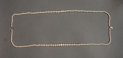 COLLIER Necklace of two rows of pearls in fall with a white gold clasp set with three...