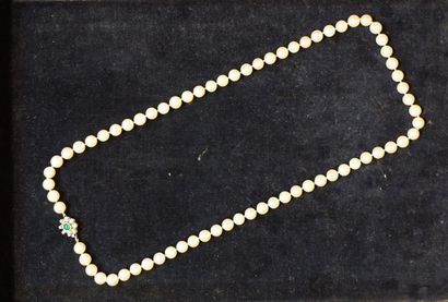 COLLIER Collier de soixante et onze perles d'environ huit millimètres à fermoir en...