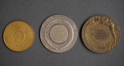 null Médaille en vermeil (33 gr), médaille 2 argent (61 gr) et médaille en bronz...