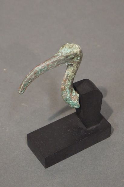 null Tête de Thot sous la forme d'ibis. Bronze à patine verte lisse. Egypte, Basse...