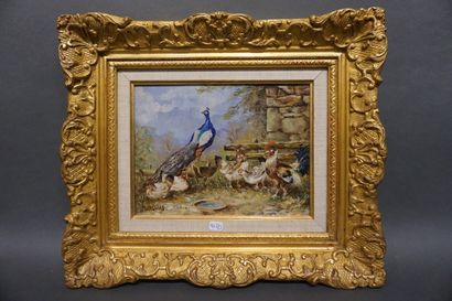 PURCHAS "Poules et paon", huile sur panneau, sbg. 19,5x25,5 cm