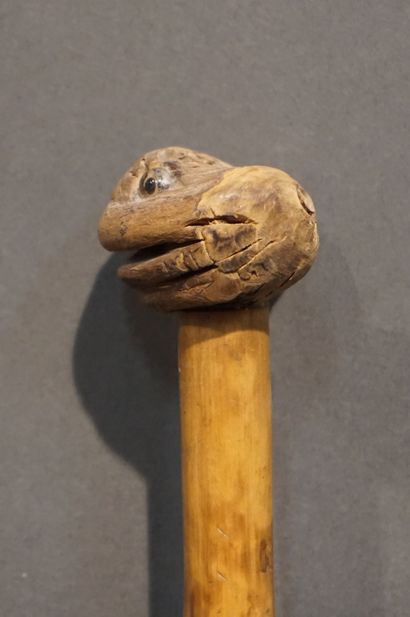 *Canne Canne en bois à pommeau figurant une tête de crapaud. 78 cm