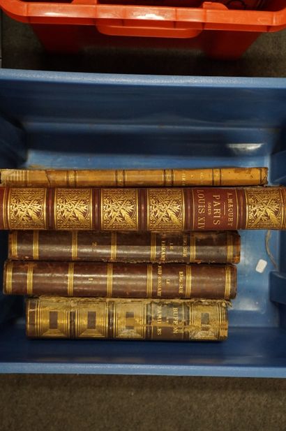 LIVRES Trois manettes de livres reliés illustrés divers (Rousseau, Zola, Hugo, Figuier,...