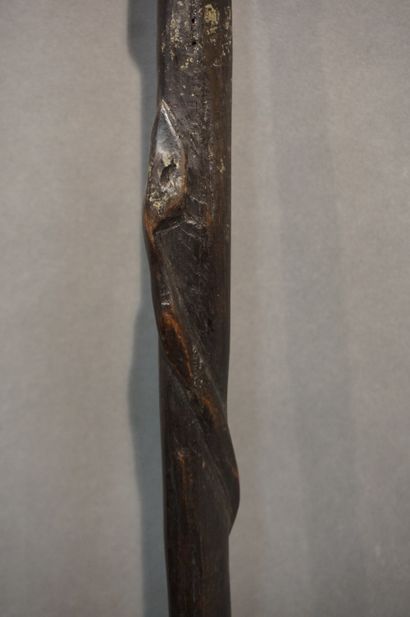 *Bâton Bâton en bois noirci sculpté d'un serpent enroulé et pommeau figurant une...