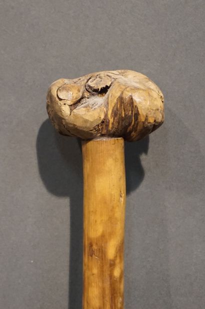 *Canne Canne en bois à pommeau figurant une tête de crapaud. 78 cm
