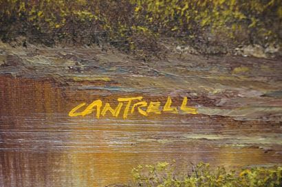 CANTRELL "Paysage d'automne", huile sur toile, sbg. 31x41 cm
