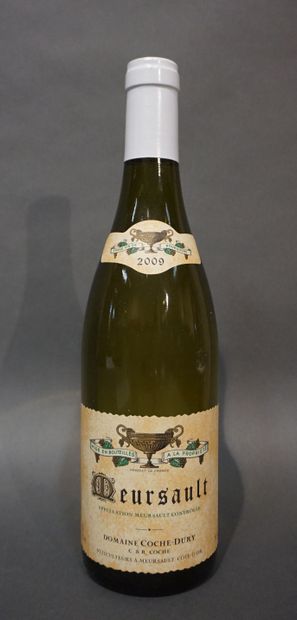  1 bouteille MEURSAULT Domaine Coche-Dury 2009