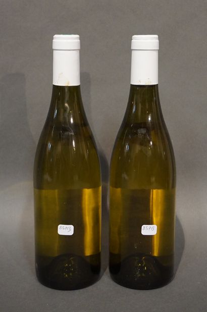 2 bouteilles PULIGNY-MONTRACHET "Les Enseignères", JF Coche-Dury 2007 