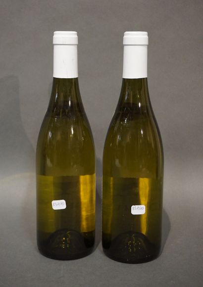  2 bouteilles MEURSAULT Domaine Coche-Dury 2009