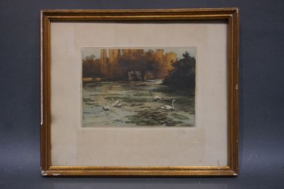 SILH "Cygnes sur l'étang", estampe polychrome, sbd. 12x17 cm
