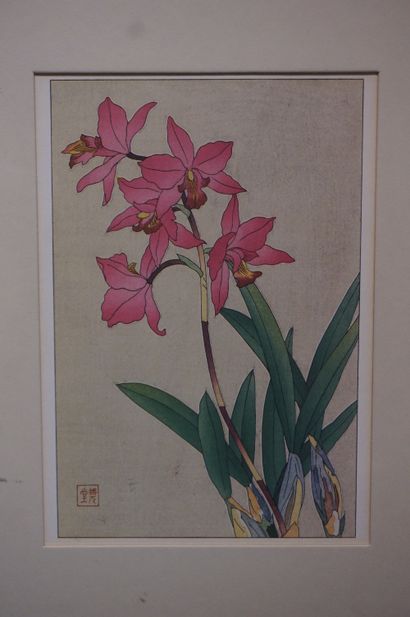 null Cinq estampes asiatiques: "Fleurs". 17x12 cm