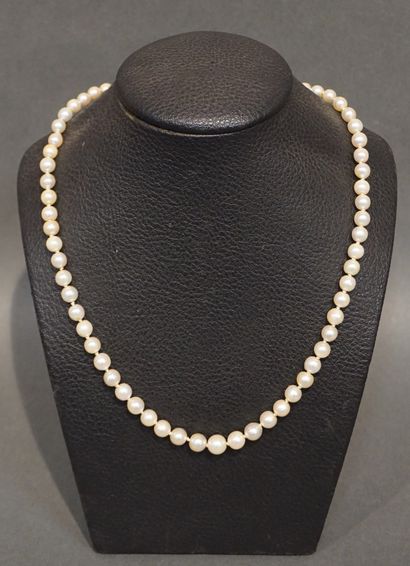 * Collier Necklace of pearls with a white gold clasp set with seven small rubies...