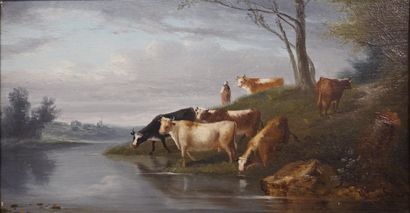 null School XIX: "Herd of cows", oil on panel. 22x41 cm