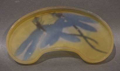 GALLE Boite en verre multicouche de forme rognon, à décor de deux libellules sur...