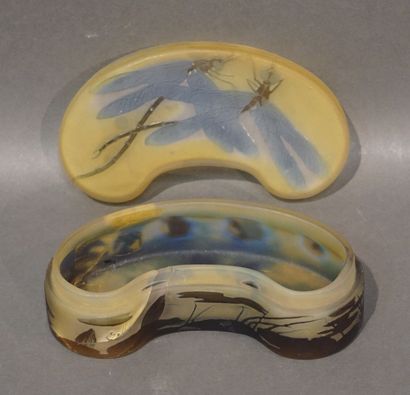 GALLE Boite en verre multicouche de forme rognon, à décor de deux libellules sur...