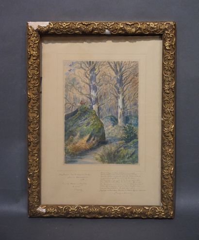 Ernest d'HERVILLY "Sous-bois à Fontainebleau", aquarelle, monogrammé en bas à droite,...