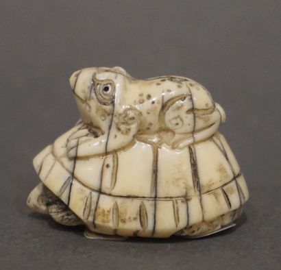 null Netsuke: "Crapaud sur une tortue". 2,5 cm