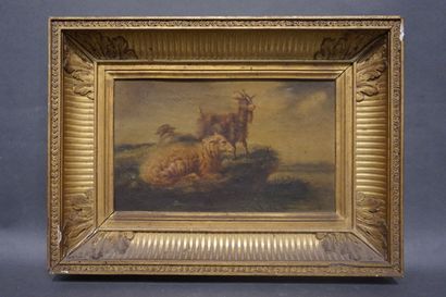 null School XIX°: "Sheep and goat", oil on canvas, sbg (wear, acc.). Gilded frame....